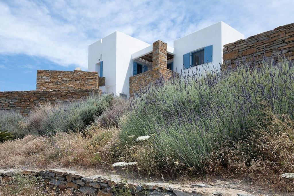 Luxury Cycladic Villa-Enjoy Infinity Pool Sunsets Koundouros Exterior photo